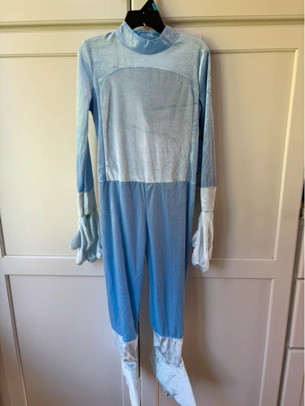 3T- 4T Bluey Halloween costume